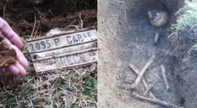 Gjetja e eshtrave të ushtarëve grekë, Ministria e Jashtme e Greqisë: Historike!