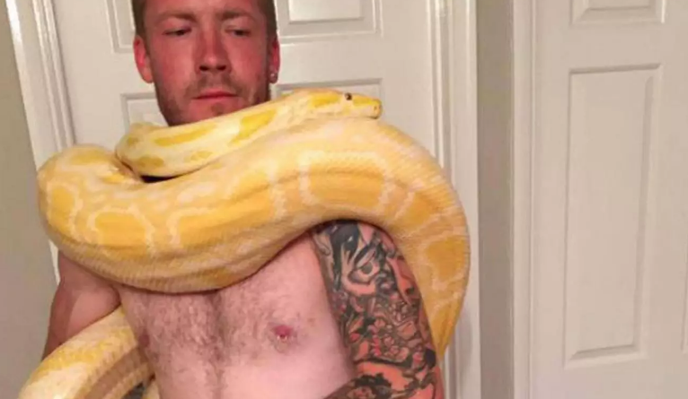 I riu gjen vdekjen nga pitoni që kishte rritur vetë