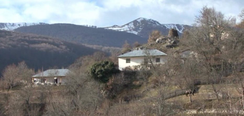 Detaje nga vrasja, i sëmuri mendor e vrau me sëpatë në kokë bashkëfshatarin