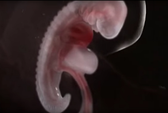 64-vjeçari në Kurbin shokohet nga ajo që gjen në hangar