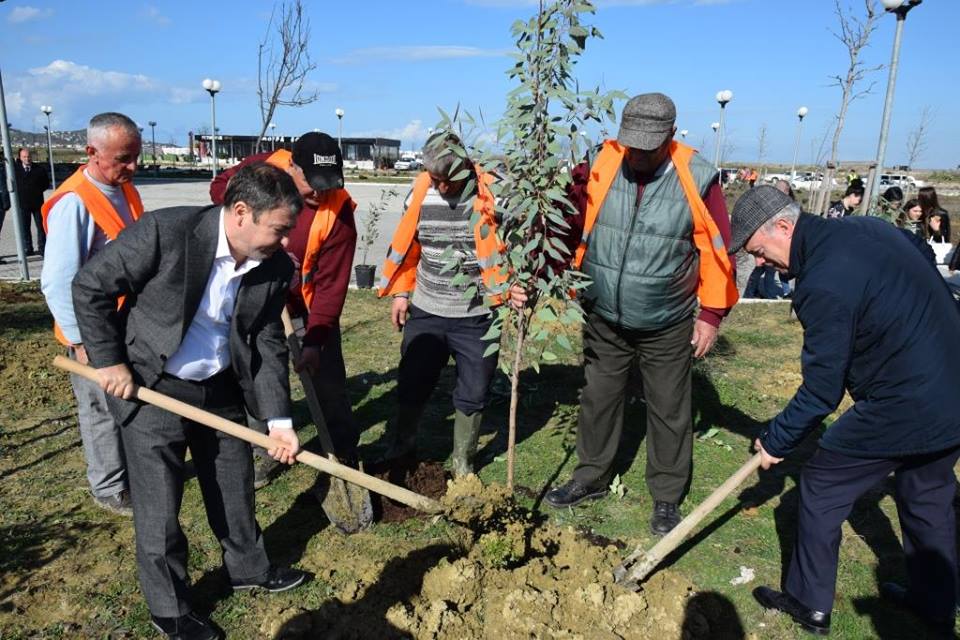 Dako nis aksionin: Do mbjellim mijëra pemë në Durrës (FOTO)