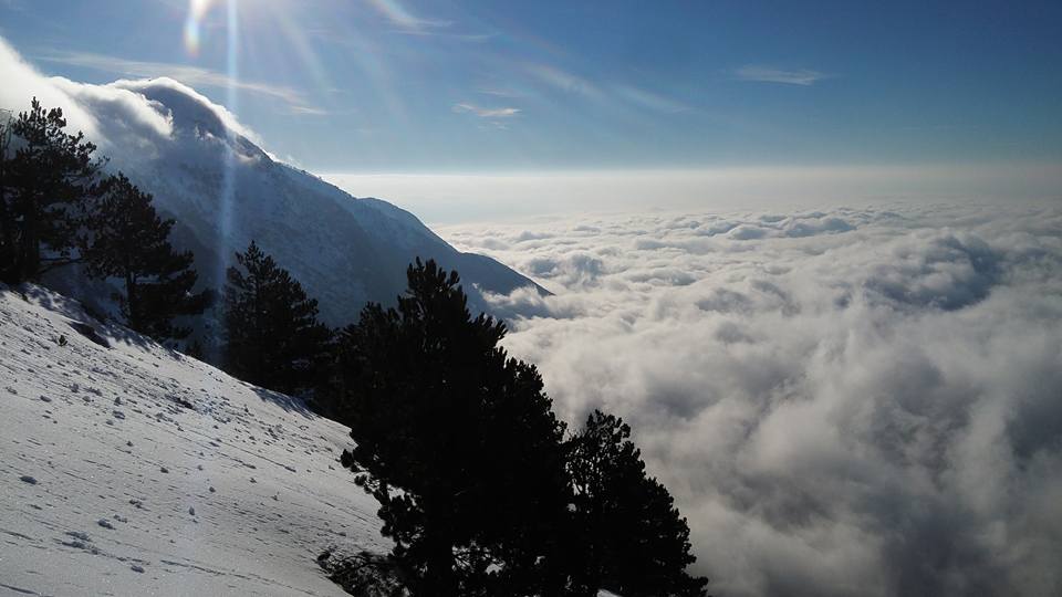 Ambasada e SHBA-së nxjerr pamjen fantastike: Ku ndodhet ky mal?