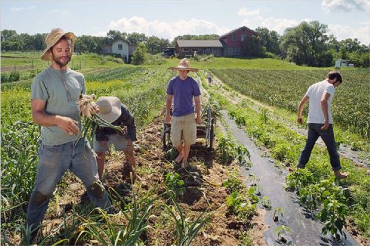 Italia hap dyert për 30 mijë punonjës …edhe për shqiptarët! Sektorët që kanë prioritet