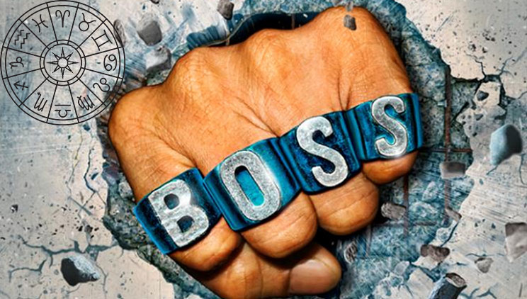 6 shenjat e horoskopit që kanë lindur për të qenë “Boss”