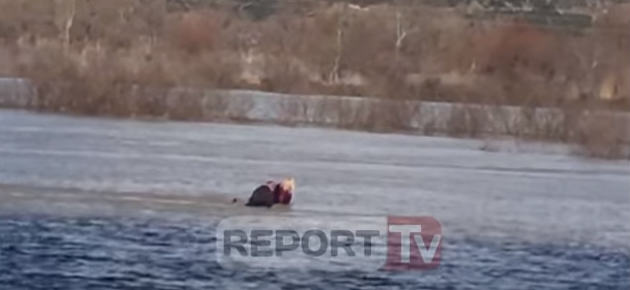 Si u shpëtuan burrë e grua që u mbuluan nga uji, minuta të tëra mbi furgon (VIDEO)