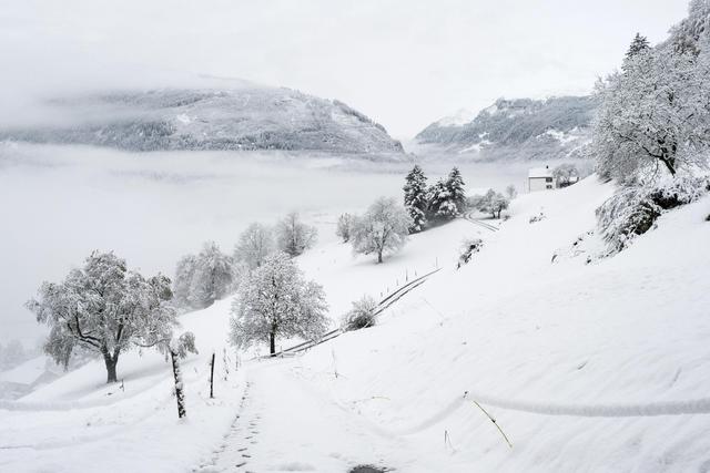 Reshje intensive bore, probleme në zonën e Dardhës