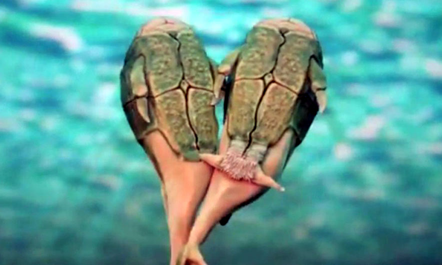 385 mln vite nga akti i parë seksual