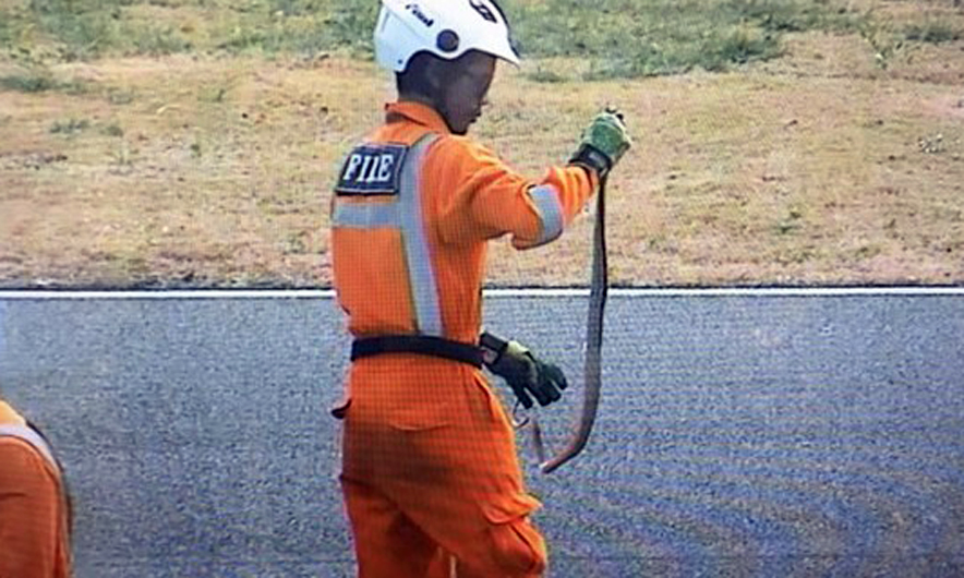 Gjarpër në pistë, pilotët e MotoGP në panik