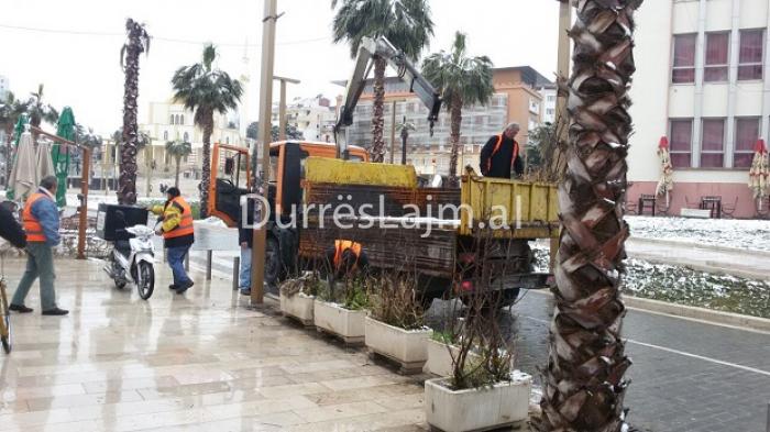Vijon aksioni i Policisë Bashkiake në Durrës, bizneset lirojnë vetë bulevardin (VIDEO)
