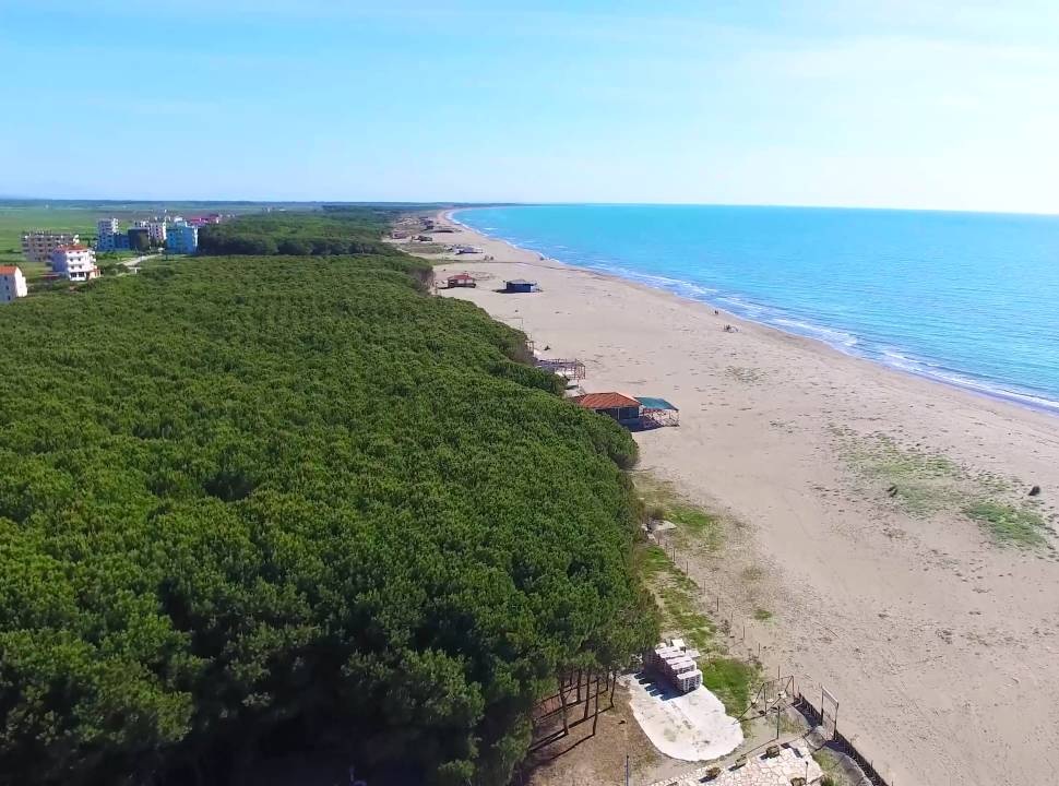 Abuzimi me pronat në Spille, dy ministra i dhanë radarët biznesmenit Karkini