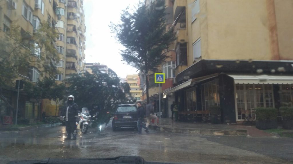 Moti i keq rrëzon pemët dhe shtyllat e tensionit (FOTO)