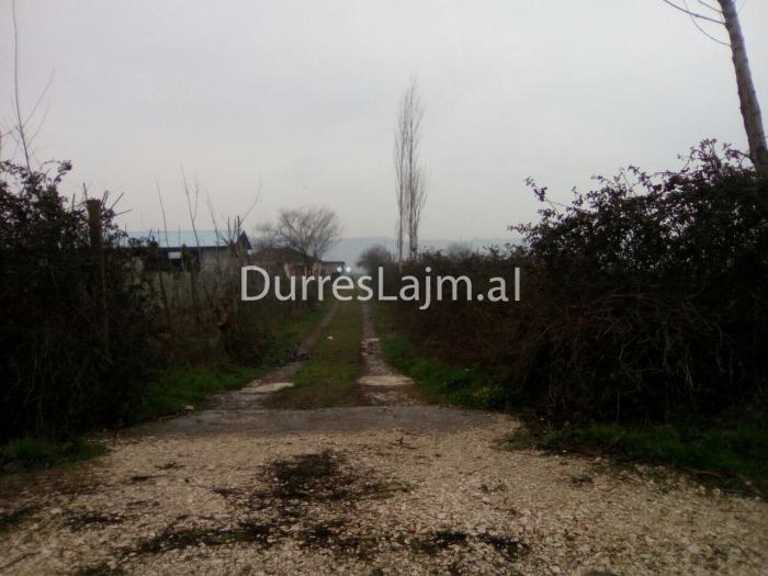 Vetëvrasja e 22-vjeçarit brenda makinës, ja ku ndodhi ngjarja (FOTO)