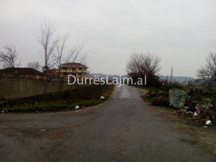 Emigranti i dha fund jetës me plumb në zemër, policia e Durrësit: Ja për çfarë dyshojmë