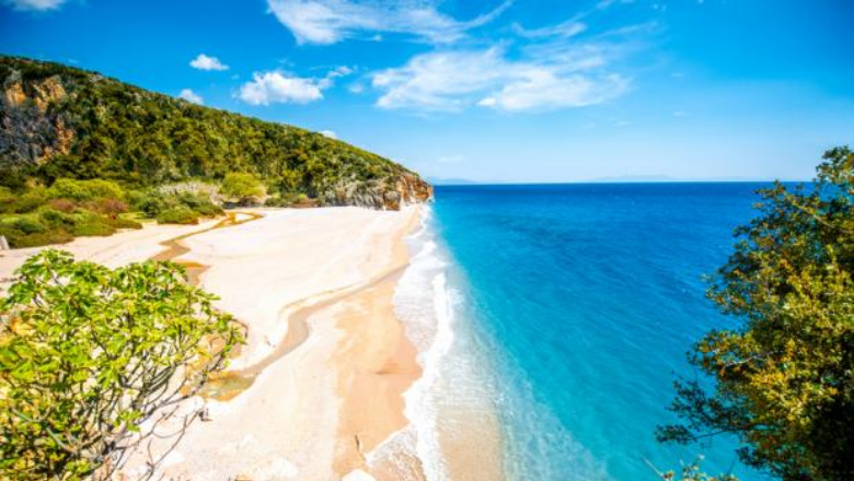 Grabitja e pronave, Task-Forca nis verifikimet në terren