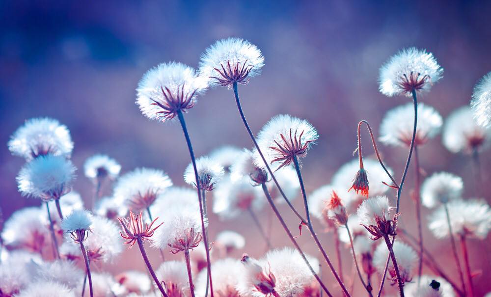 Kryemadhi uron “8 Marsin”, mesazh të ndjerë për nënën e saj