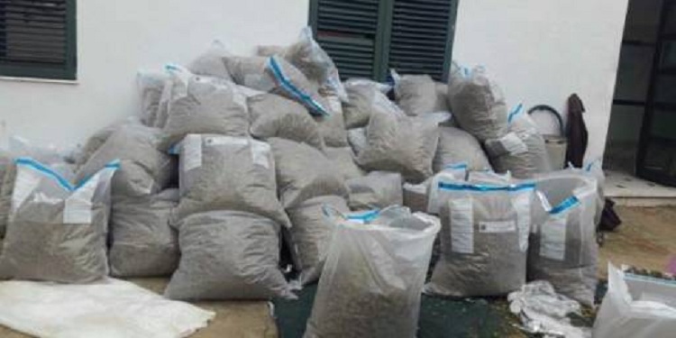 Operacion antidrogë, sekuestrohen 30 kg kanabis, arrestohet 1 person