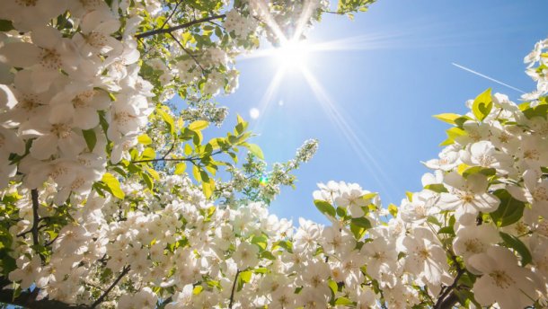 Si do të jetë moti Ditën e Verës