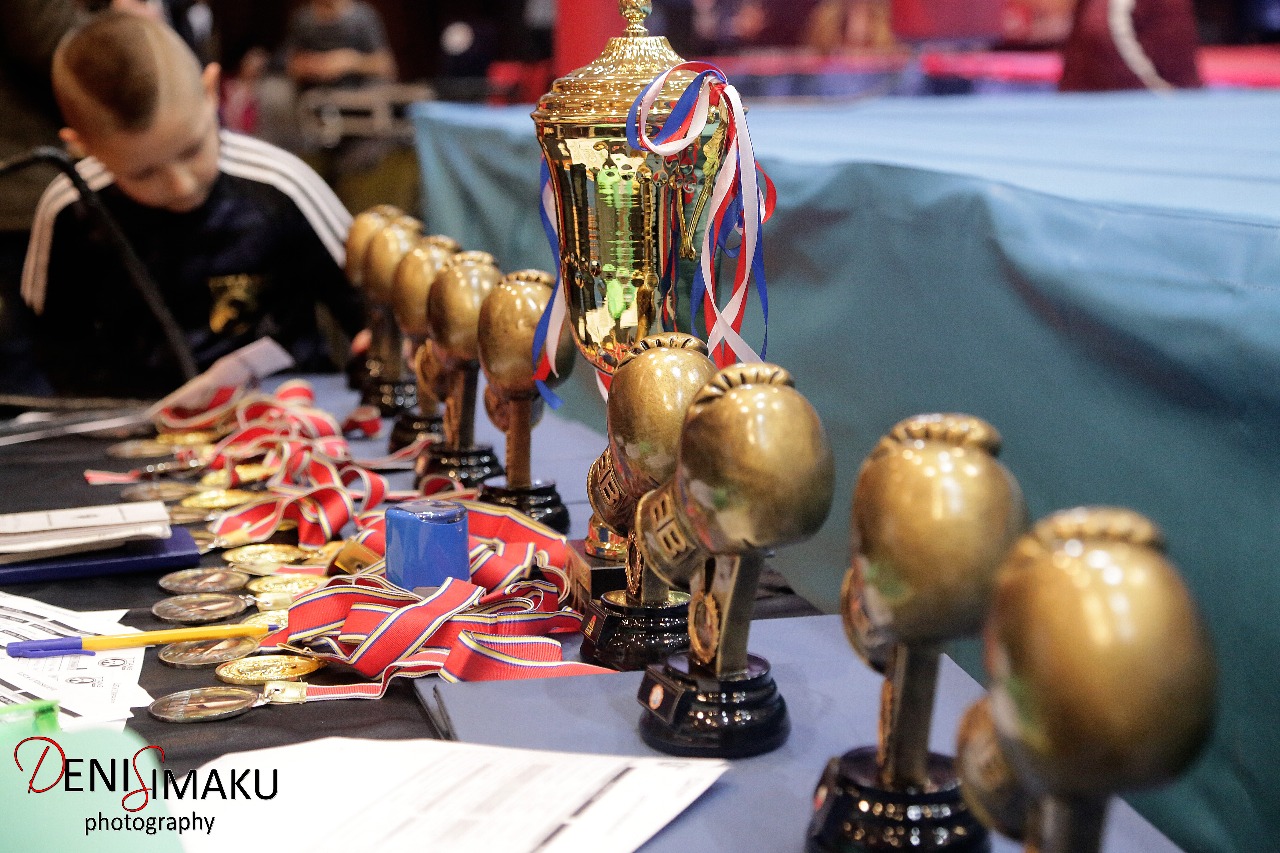 Eventi i bamirësisë që bëri bashkë boksierët dhe artistët në Durrës (FOTO)