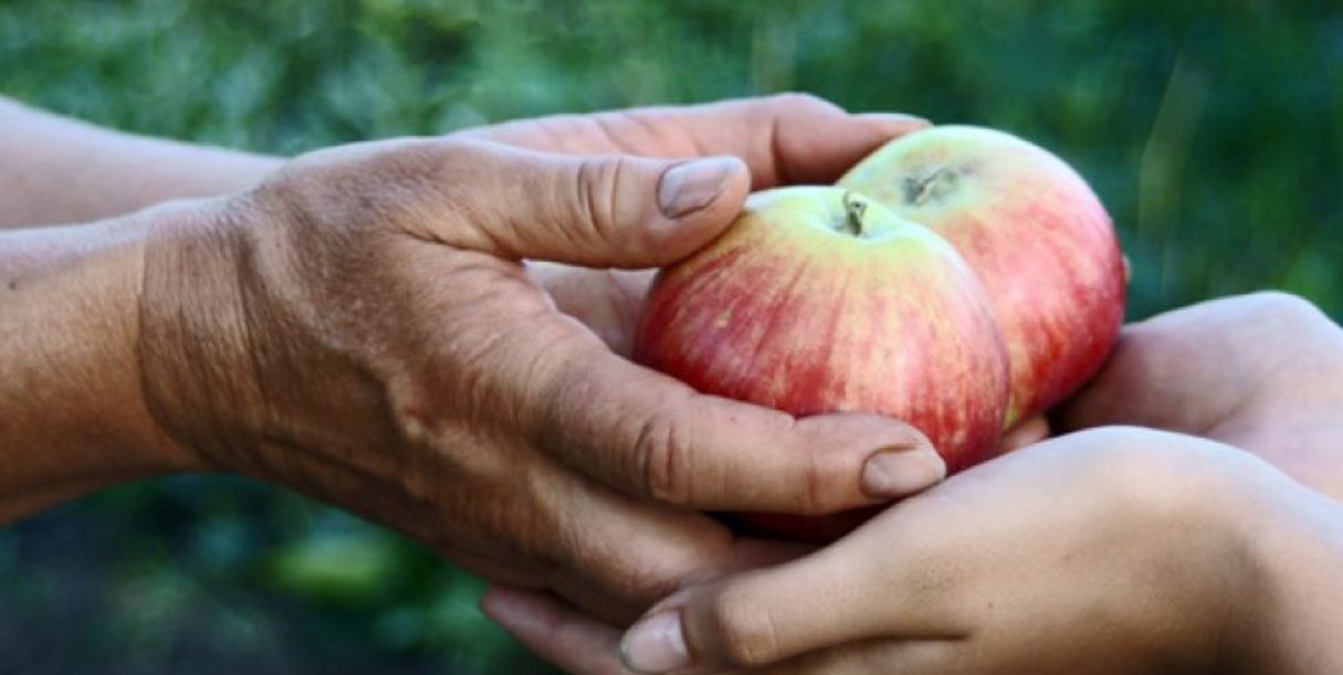 Rrëzohet miti; Shqiptarët nuk janë aq të gjindshëm dhe bujarë sa mendonit!