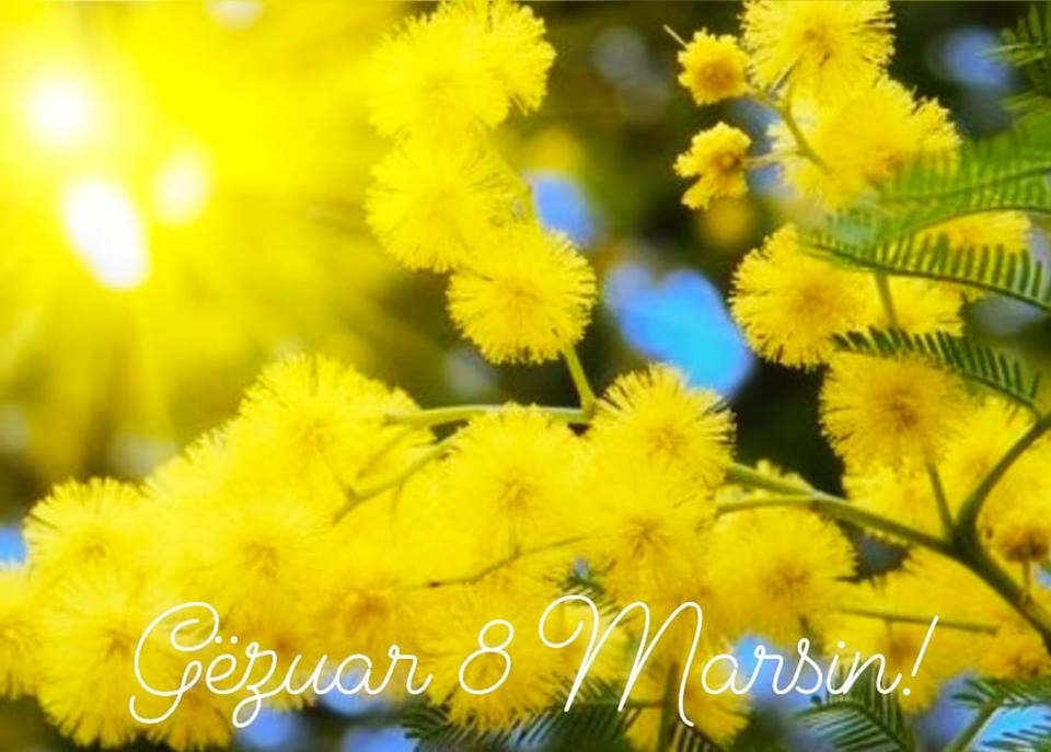 Urimi i Presidentit Meta për 8 Marsin dhe apeli i tij: Dita për të reflektuar