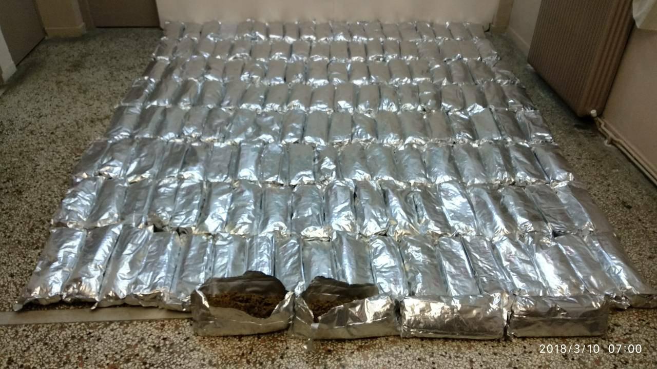 Operacion në Greqi, pranga tre shqiptarëve me 156 kg kanabis (FOTO)