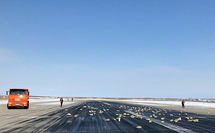 Bien nga ‘qielli’ mbi 3 tonë flori (FOTO)