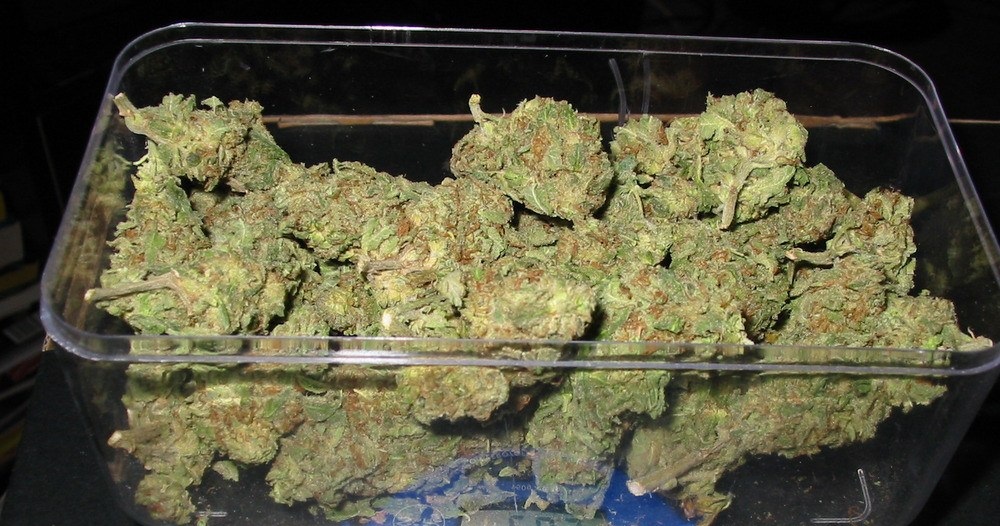 I burgosuri nga Durrësi kapet me 25 gramë kanabis në dhomë