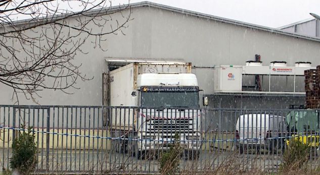 613 kg kokainë 38 ditë mbi det mes bananeve! Zbardhet itinerari i kontenierit