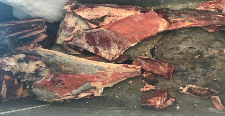 Inspektorët e Drejtorisë Rajonale Durrës konfiskojnë 73 kg mish