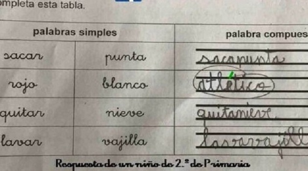 Përgjigja fantastike e tifozit në provim bën xhiron e botës në internet