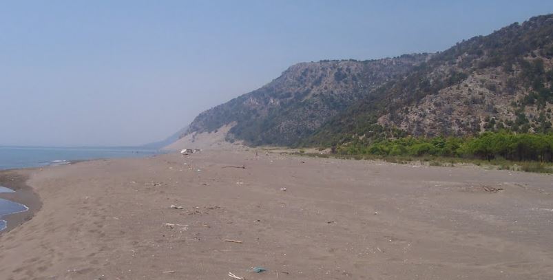 Skandali me pronat në bregdet, arrestohet i shpalluri në kërkim