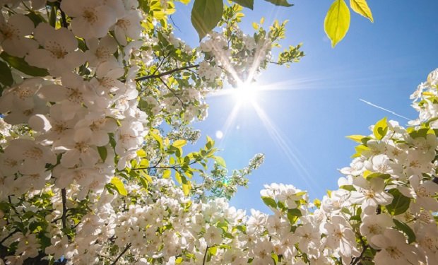 Parashikimi i motit, e premte 13 prill