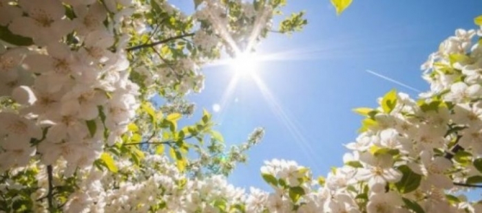 Parashikimi i motit, sa do shkojnë sot temperaturat