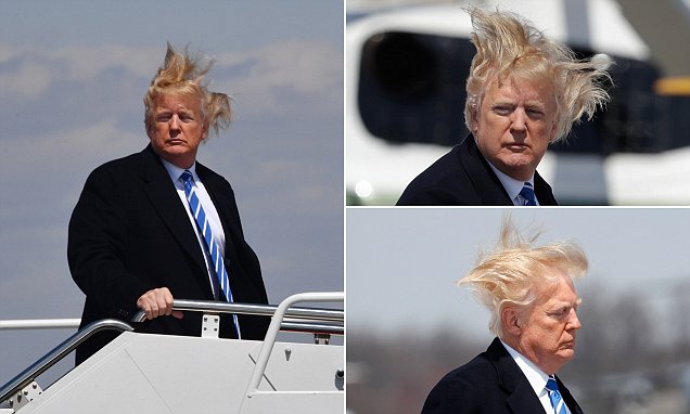 FOTO/ Fluturojnë, fluturojnë… flokët e Donald Trump!