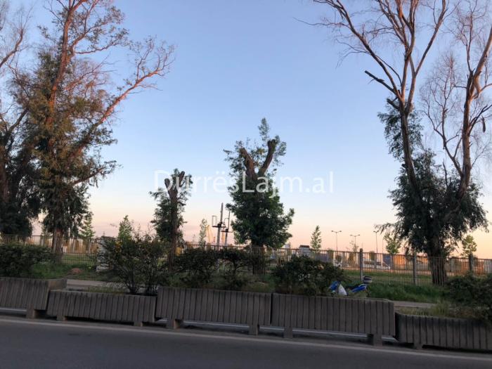 Priten plepat shumëvjeçarë në hyrje të Durrësit (FOTO & VIDEO)