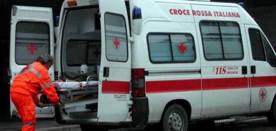 Shqiptari gjendet i vdekur në banesë, alarmi u dha nga qeni