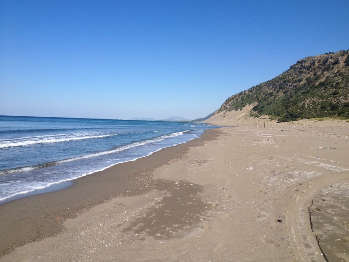 Skandali me pronat, në pranga 59-vjeçari i shpallur në kërkim