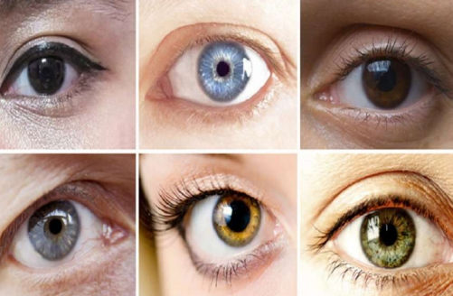 Blu apo të zinj? Zbuloni çfarë tregon ngjyra e syve për shëndetin e njeriut