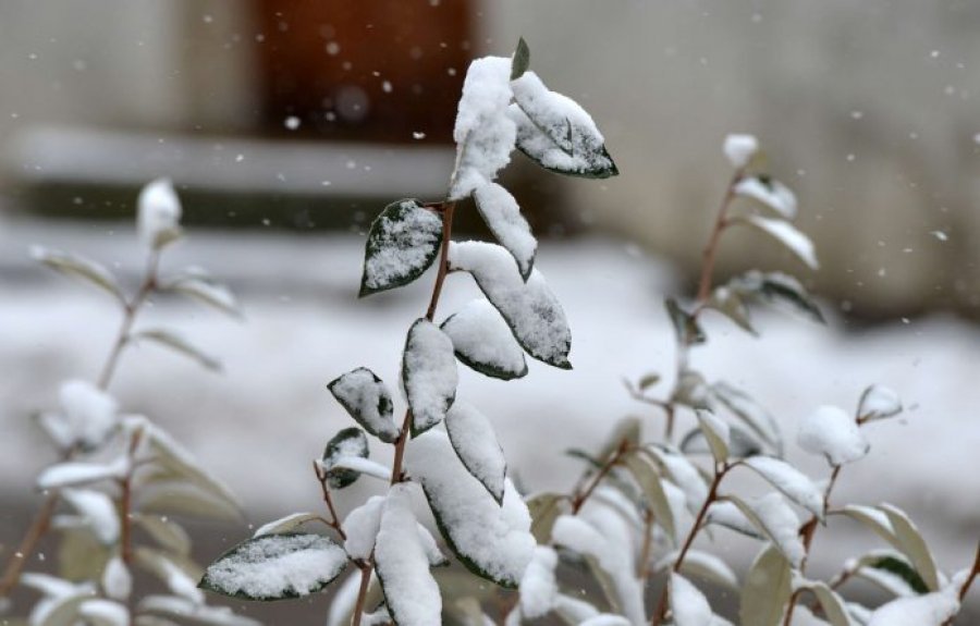 Çmendet moti/ Pas temperaturave verore, nisin reshjet e borës