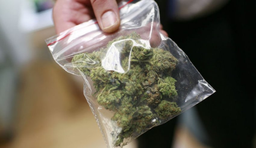 Shpërndante kanabis afër shkollave, arrestohet adoleshenti dhe një 31-vjeçar