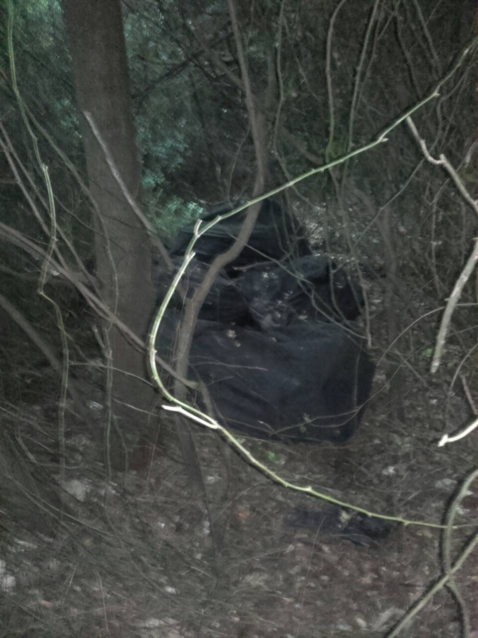 EMRI/ Arrestohet i riu nga Durrësi, u kap me 121 kg drogë