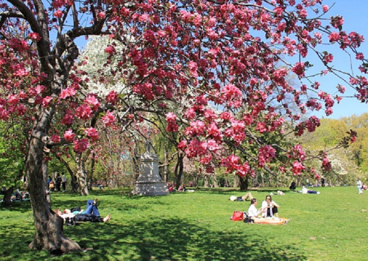 Parashikimi i motit, e martë 24 prill