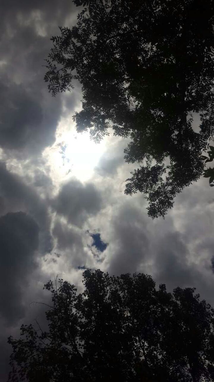 Parashikimi i motit për këtë javë, rikthehen shirat