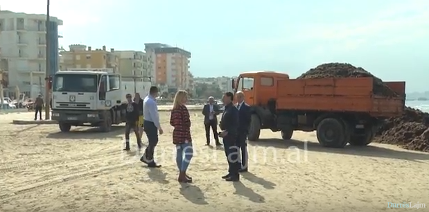 Qindra tonë leshterikë pastrohen çdo ditë në plazhin e Durrësit (VIDEO)