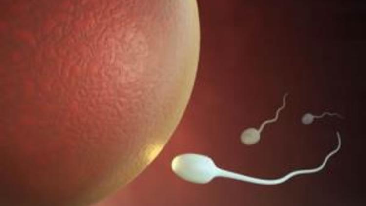 Burri me 9 fëmijë mëson pas 35 vitesh martesë se ishte steril