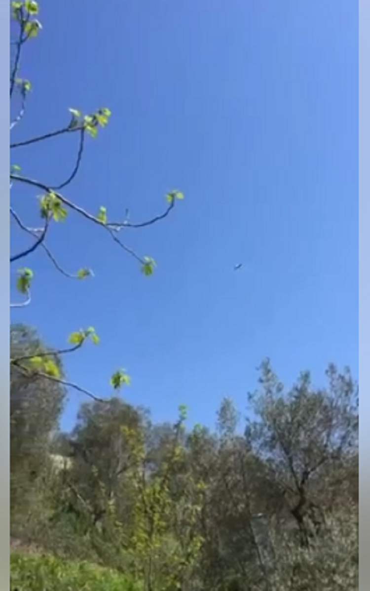 Avionët e drogës nuk kanë ditë pushimi, ja ç’po ndodh në qiellin e Ishmit (VIDEO)