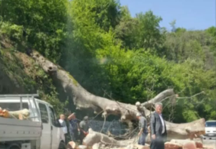 Ç’po ndodh tek Uji i Ftohtë, mos kaloni nga Tepelena (FOTO)