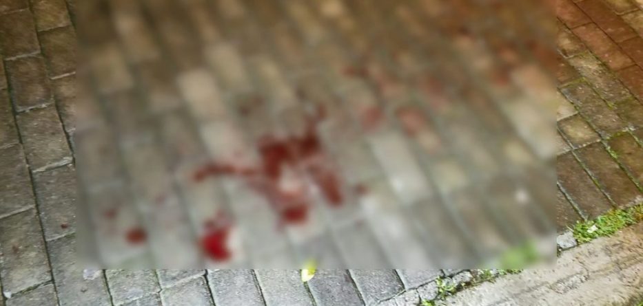 DETAJET/ E vrau shokun me thikë pasi pinë në të njëjtën tavolinë