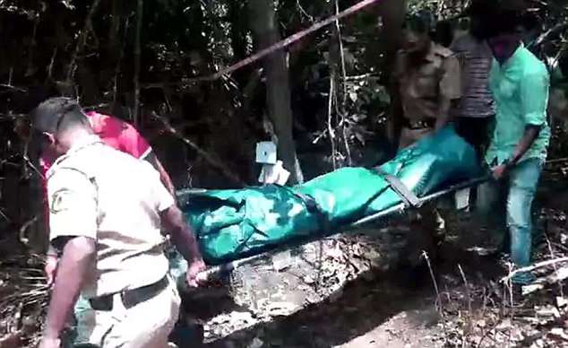 Shkoi për të trajtuar depresionin, u përdhunua dhe u vra në pyll