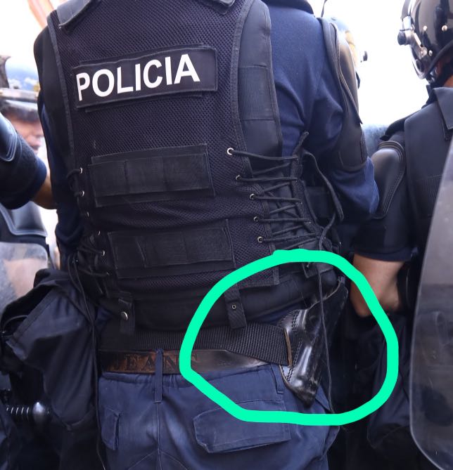 PD publikon foton: Polici me armë në protestë